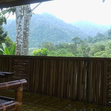 Batu Kapal Jungle Houses Hotel Berastagi Eksteriør billede