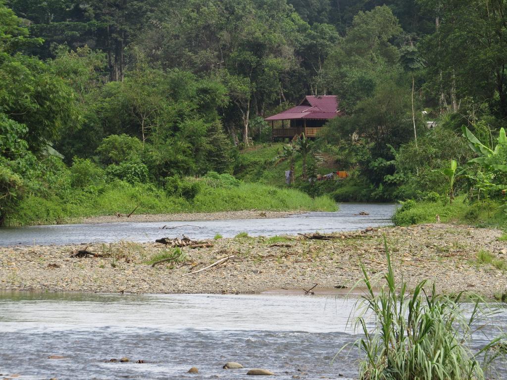 Batu Kapal Jungle Houses Hotel Berastagi Værelse billede