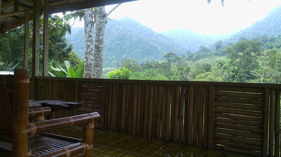 Batu Kapal Jungle Houses Hotel Berastagi Eksteriør billede