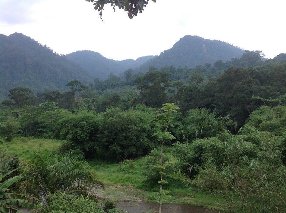 Batu Kapal Jungle Houses Hotel Berastagi Eksteriør billede