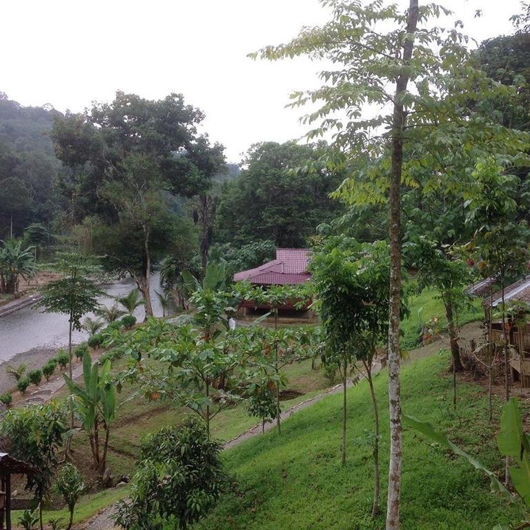 Batu Kapal Jungle Houses Hotel Berastagi Eksteriør billede