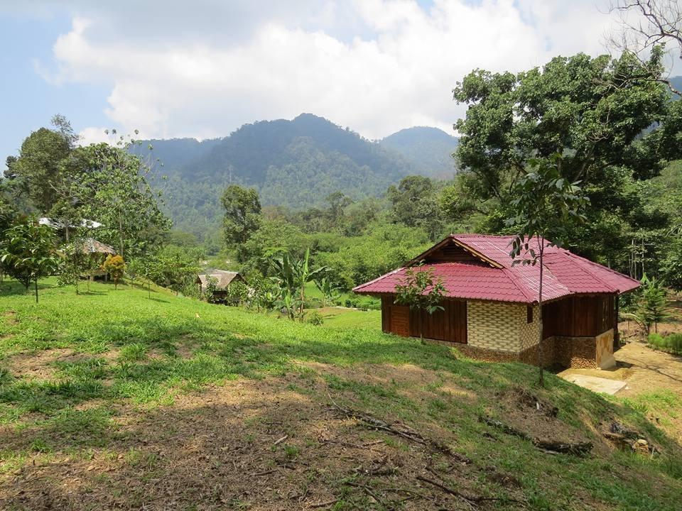 Batu Kapal Jungle Houses Hotel Berastagi Eksteriør billede